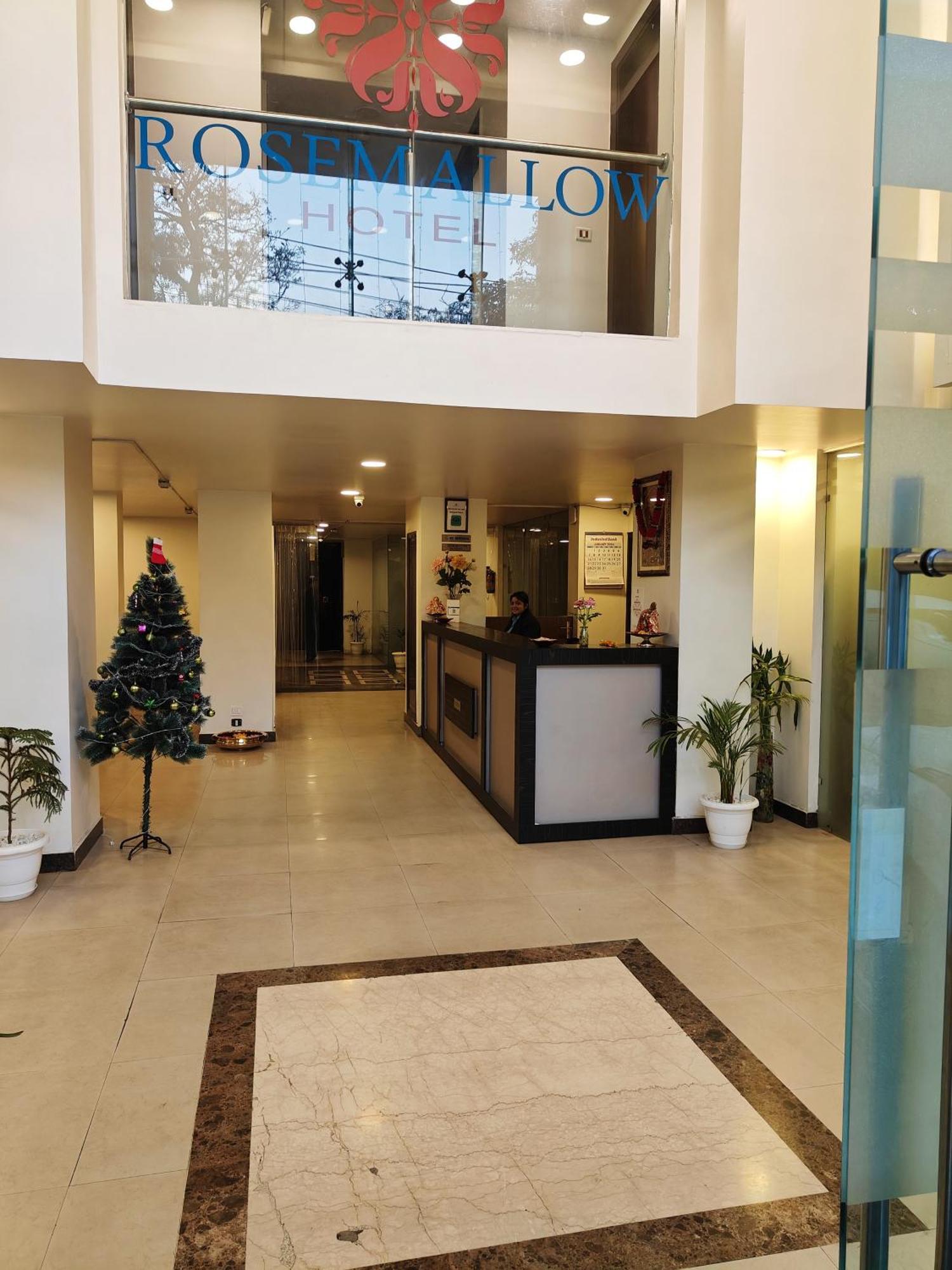 Rosemallow Hotel 新德里 外观 照片